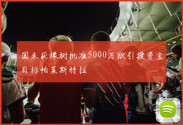 国米获橡树批准5000万欧引援资金目标帕莱斯特拉